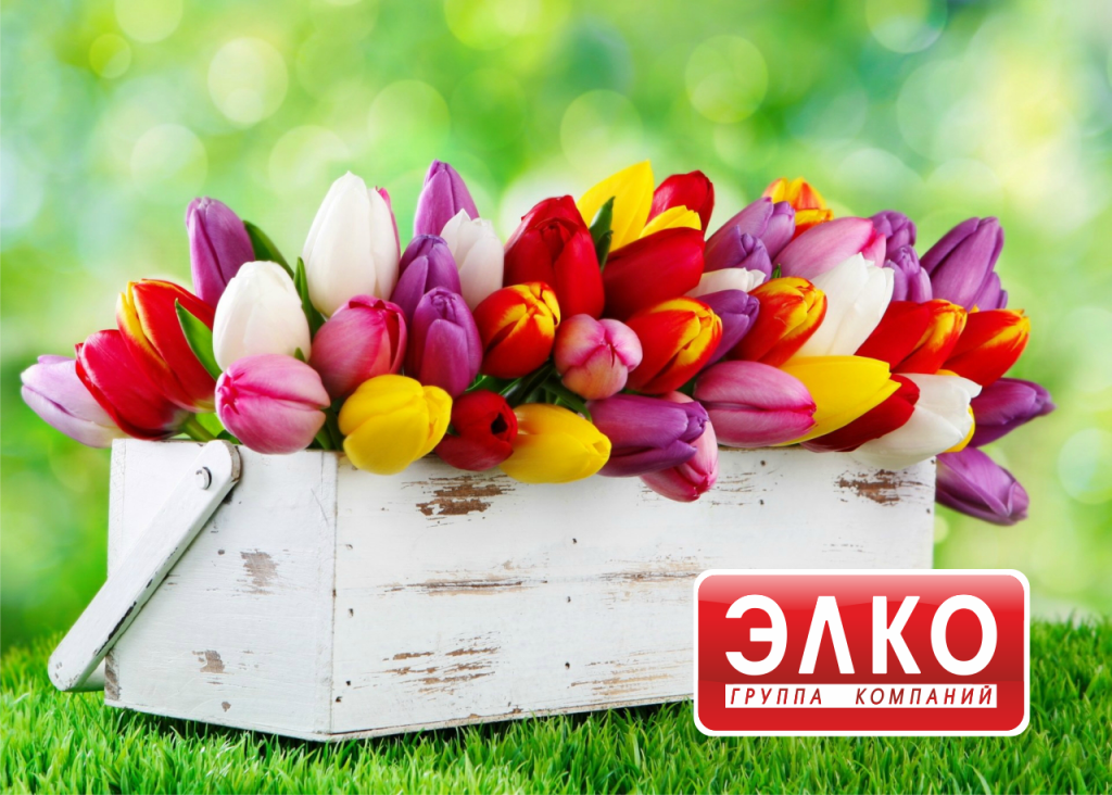 8 Марта ЭЛКО